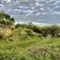  Land for sale in Calamuchita, Cordoba, Calamuchita