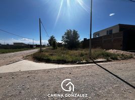  Land for sale in Confluencia, Neuquen, Confluencia