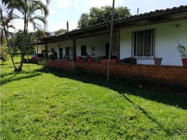  Terreno (Parcela) en venta en Belalcazar, Caldas, Belalcazar