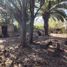  Land for sale in San Isidro, Buenos Aires, San Isidro