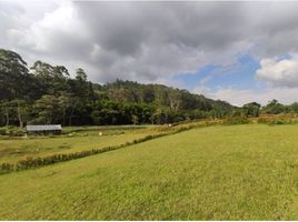  Land for sale in Rionegro, Antioquia, Rionegro