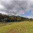  Land for sale in Rionegro, Antioquia, Rionegro