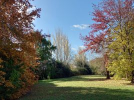 3 Habitación Casa en venta en San Antonio De Areco, Buenos Aires, San Antonio De Areco