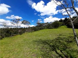  Land for sale in Rionegro, Antioquia, Rionegro