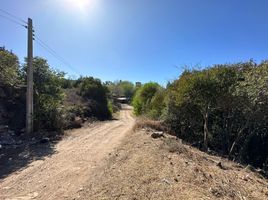  Terreno (Parcela) en venta en Punilla, Cordobá, Punilla