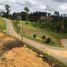  Land for sale in Rionegro, Antioquia, Rionegro