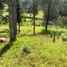  Land for sale in Rionegro, Antioquia, Rionegro