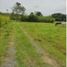  Land for sale in Jamundi, Valle Del Cauca, Jamundi