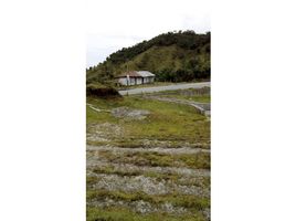  Land for sale in Herveo, Tolima, Herveo