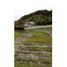  Land for sale in Herveo, Tolima, Herveo