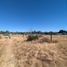  Terrain for sale in Tecate, Baja California, Tecate