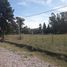  Land for sale in San Vicente, Buenos Aires, San Vicente