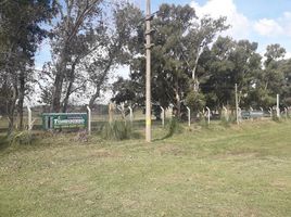  Land for sale in San Vicente, Buenos Aires, San Vicente