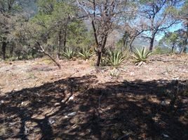  Grundstück zu verkaufen in Arteaga, Coahuila, Arteaga