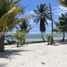 Terrain à vendre à Othon P Blanco, Quintana Roo, Othon P Blanco