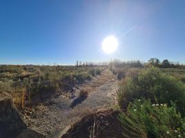  Land for sale in Neuquen, Confluencia, Neuquen