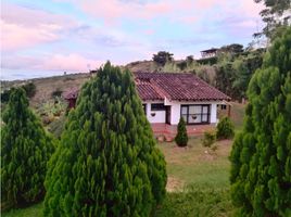 2 Habitación Villa en venta en Dagua, Valle Del Cauca, Dagua