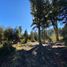  Terreno (Parcela) en venta en Los Lagos, Neuquen, Los Lagos