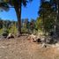  Terreno (Parcela) en venta en Los Lagos, Neuquen, Los Lagos