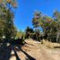 Terreno (Parcela) en venta en Los Lagos, Neuquen, Los Lagos