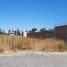  Land for sale in Neuquen, Confluencia, Neuquen