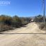  Land for sale in Junin, San Luis, Junin, San Luis