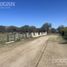  Land for sale in Junin, San Luis, Junin, San Luis