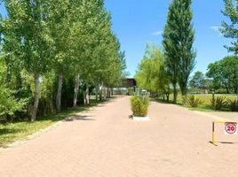  Terreno (Parcela) en venta en Canuelas, Buenos Aires, Canuelas