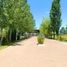  Land for sale in Canuelas, Buenos Aires, Canuelas