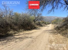  Terreno (Parcela) en venta en Junin, San Luis, Junin