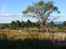  Land for sale in Calamuchita, Cordoba, Calamuchita