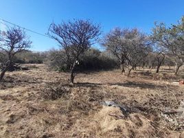  Land for sale in Chacabuco, San Luis, Chacabuco