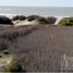  Land for sale in Pinamar, Buenos Aires, Pinamar