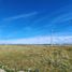  Terrain for sale in Rio Grande, Tierra Del Fuego, Rio Grande