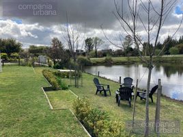 4 Bedroom House for rent in Tigre, Buenos Aires, Tigre