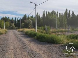  Terreno (Parcela) en venta en Confluencia, Neuquen, Confluencia