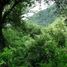  Land for sale in Oran, Salta, Oran