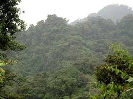  Land for sale in Oran, Salta, Oran