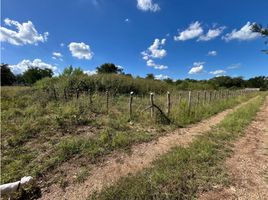  Terreno (Parcela) en venta en Montemorelos, Nuevo León, Montemorelos, Nuevo León