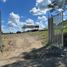  Terreno (Parcela) en venta en Montemorelos, Nuevo León, Montemorelos, Nuevo León