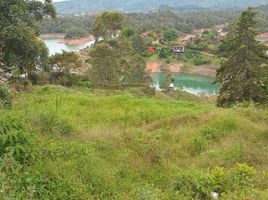  Land for sale in El Tambo, Narino, El Tambo