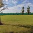  Land for sale in La Plata, Buenos Aires, La Plata