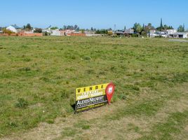  Land for sale in Gualeguaychu, Entre Rios, Gualeguaychu