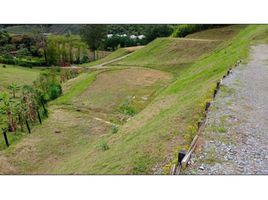  Land for sale in El Carmen De Viboral, Antioquia, El Carmen De Viboral