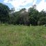  Land for sale in San Jeronimo, Antioquia, San Jeronimo