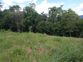  Land for sale in San Jeronimo, Antioquia, San Jeronimo