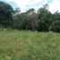  Land for sale in San Jeronimo, Antioquia, San Jeronimo