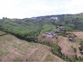 Terrain à vendre à Manizales, Caldas, Manizales, Caldas
