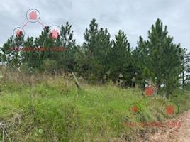  Land for sale in Concordia, Entre Rios, Concordia