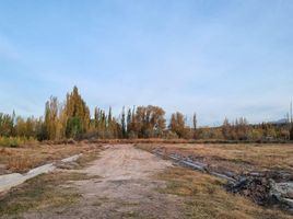  Land for sale in Neuquen, Confluencia, Neuquen